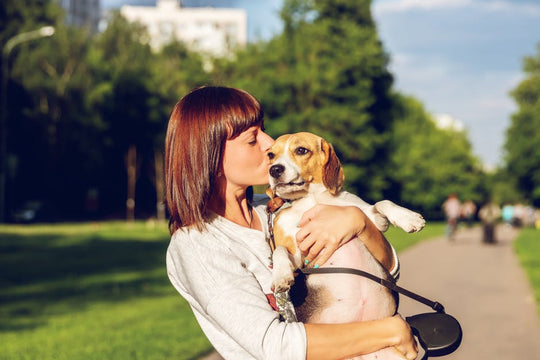 Mental Health benefits of pets, dog, walking